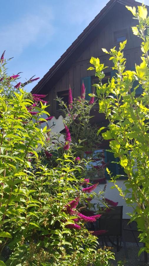 Chill&Sleep Bad Ischl Appartement Buitenkant foto