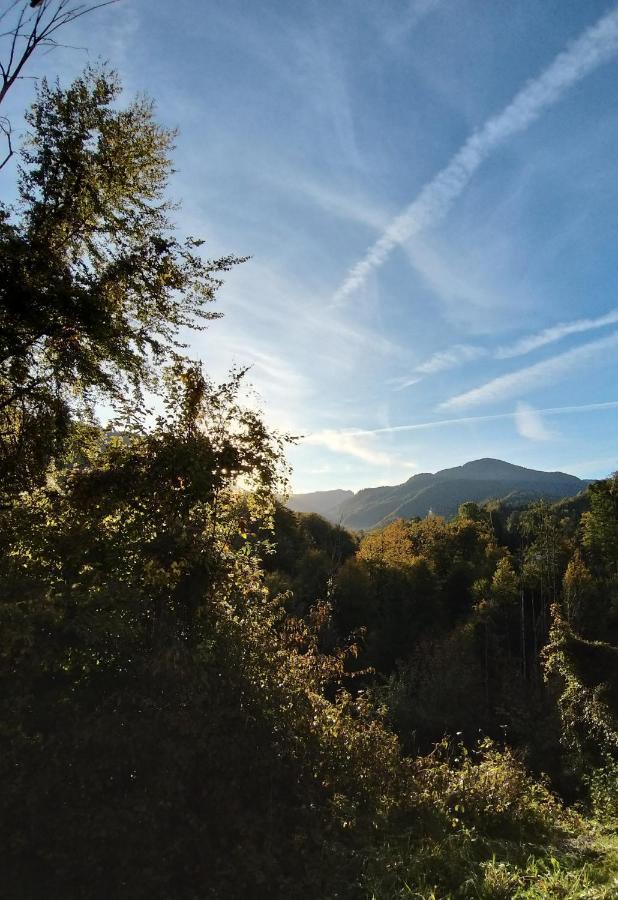Chill&Sleep Bad Ischl Appartement Buitenkant foto
