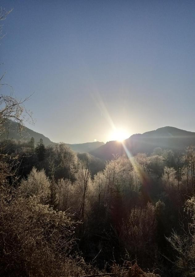 Chill&Sleep Bad Ischl Appartement Buitenkant foto