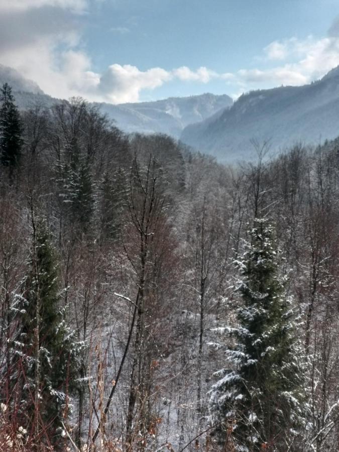Chill&Sleep Bad Ischl Appartement Buitenkant foto