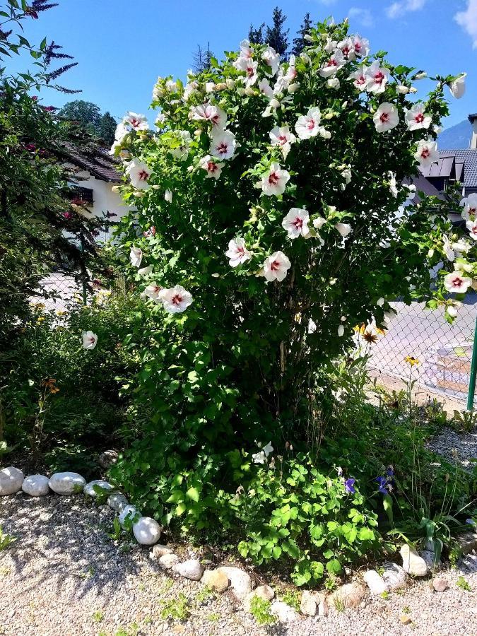 Chill&Sleep Bad Ischl Appartement Buitenkant foto