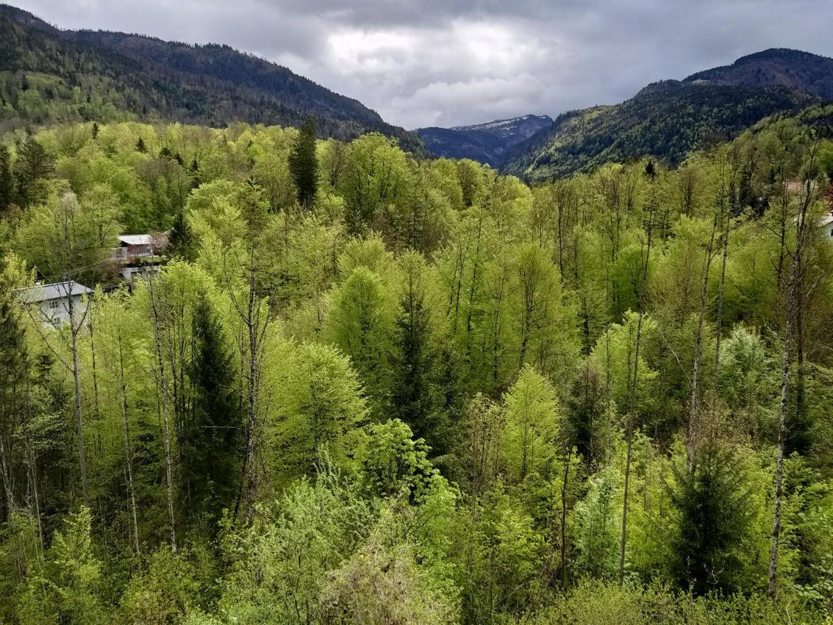 Chill&Sleep Bad Ischl Appartement Buitenkant foto