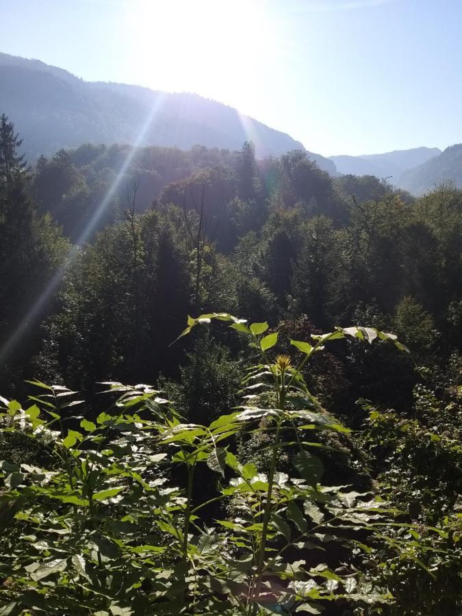 Chill&Sleep Bad Ischl Appartement Buitenkant foto