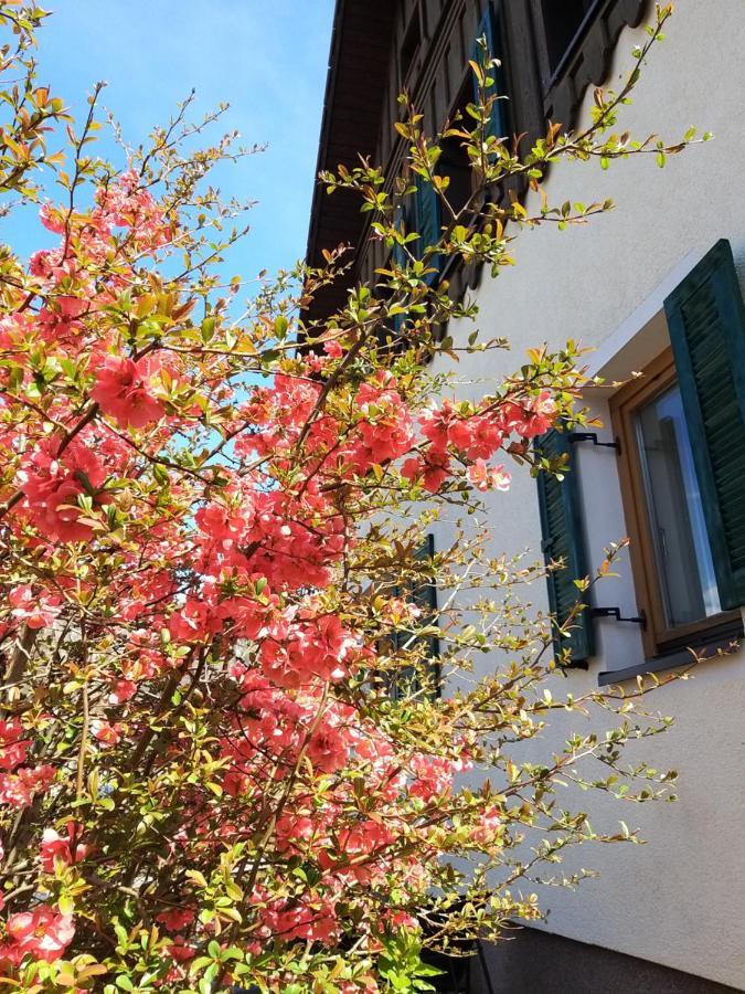 Chill&Sleep Bad Ischl Appartement Buitenkant foto
